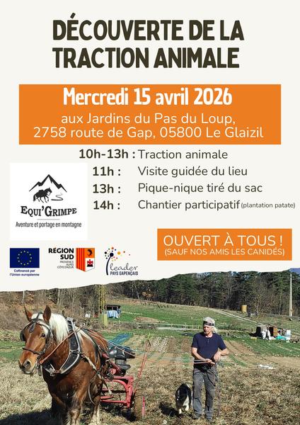Portes ouvertes & découverte de la traction animale