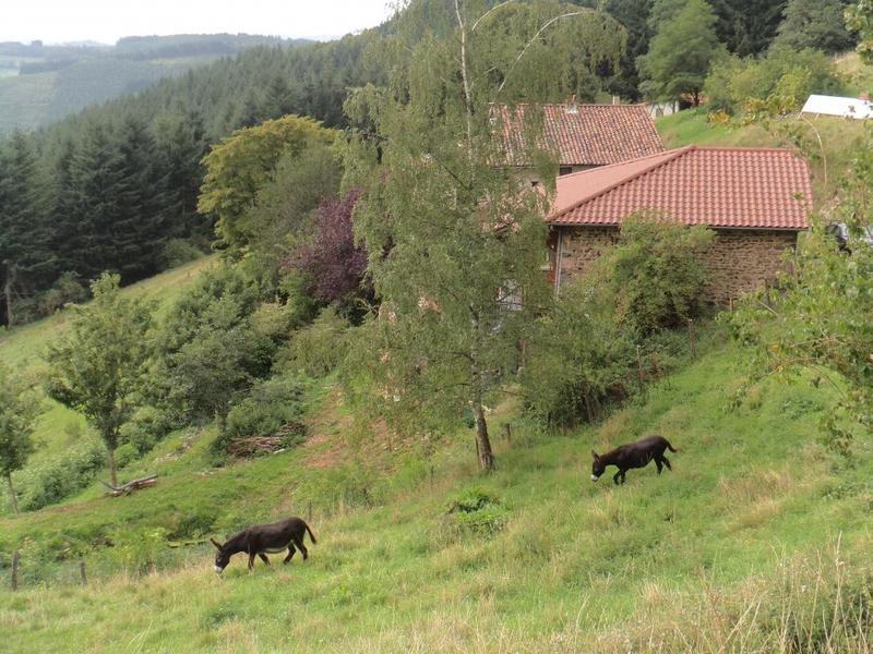 Gîte d\'enfants \