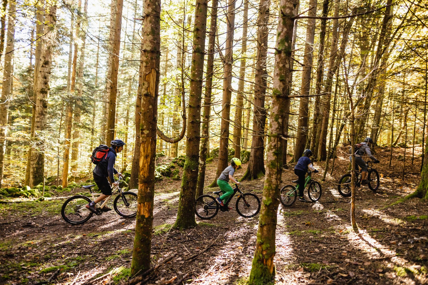 Initiation VTT en forêt au Col de l'Arzelier