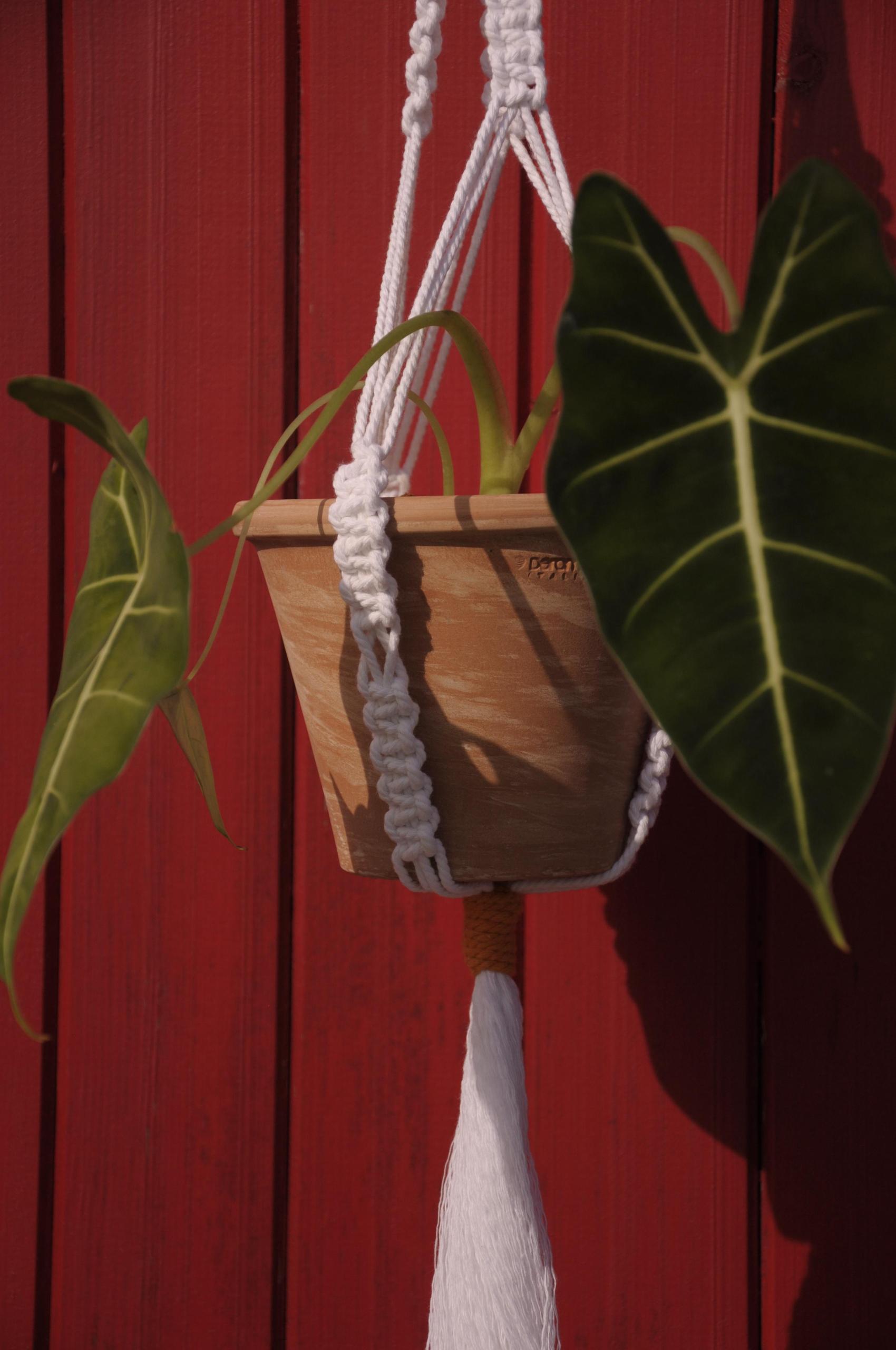 Escale créative : "Attrapes-rêves en macramé" avec Louise de How You Doing