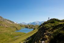 Maquis de l'Oisans.jpg