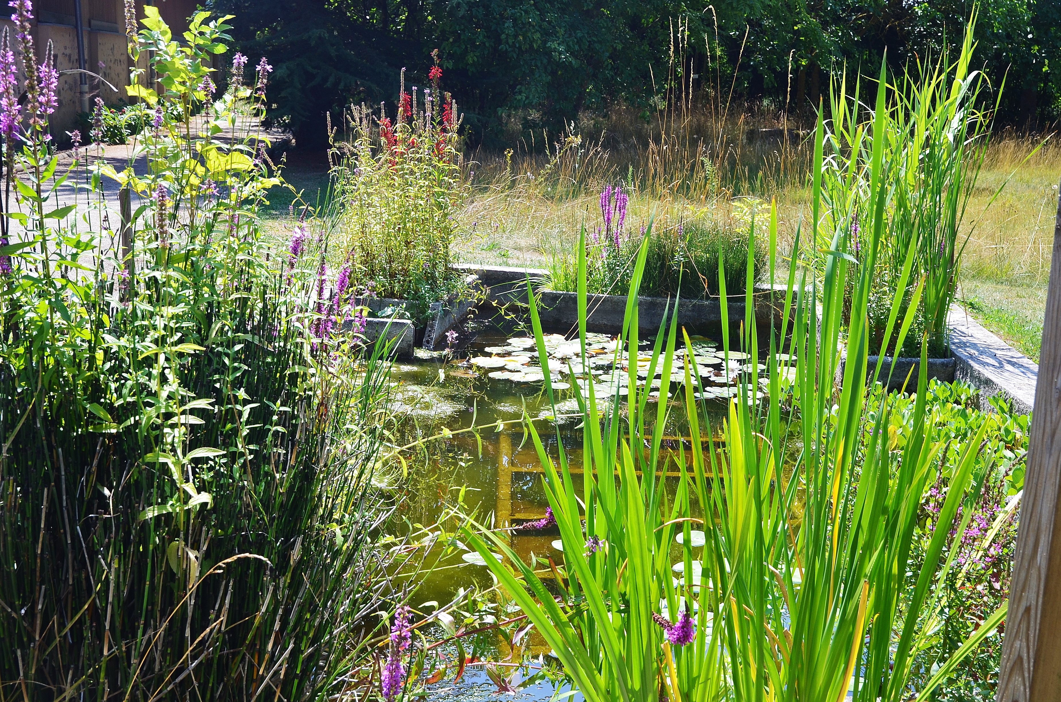 Conservatoire des Plantes