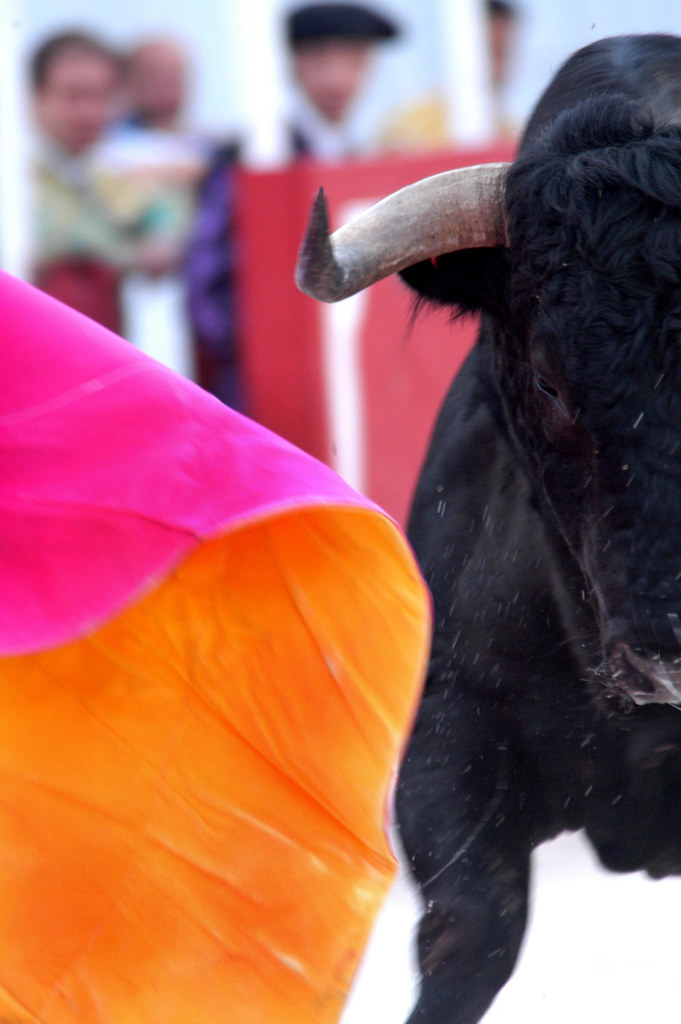 Easter Feria in the arena