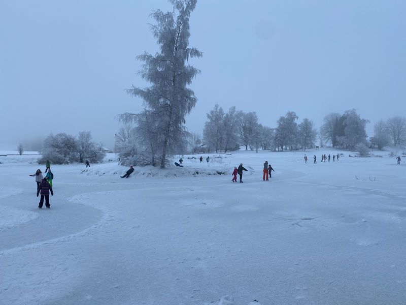Patinage lac de Lalleyriat