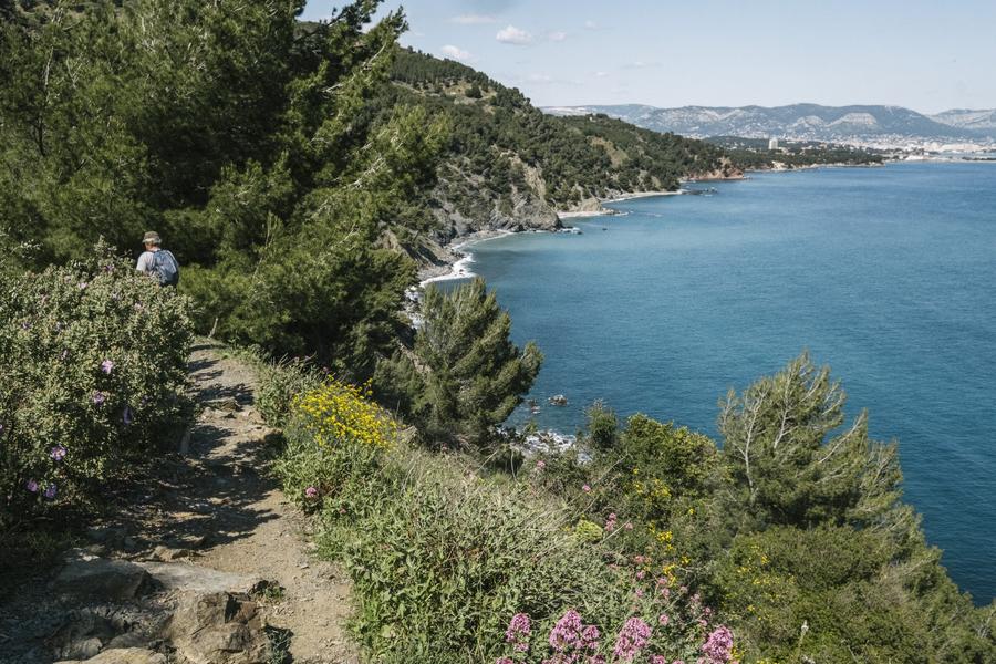 Massif du cap Sicié_Six-Fours-les-Plages