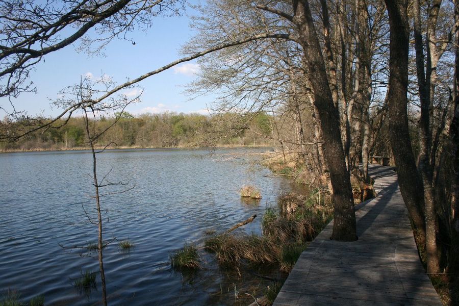 Espace Naturel Sensible de la Save - Lac de Save