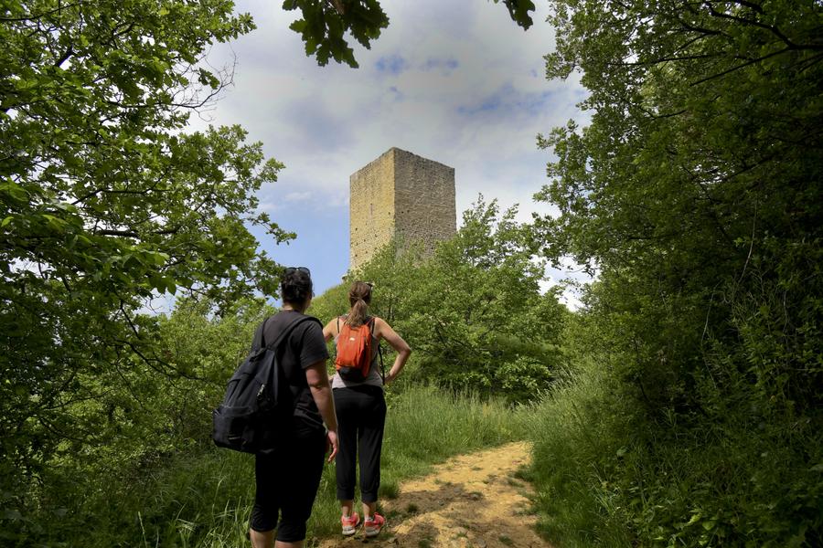 La Vigie du Dauphiné_Anneyron