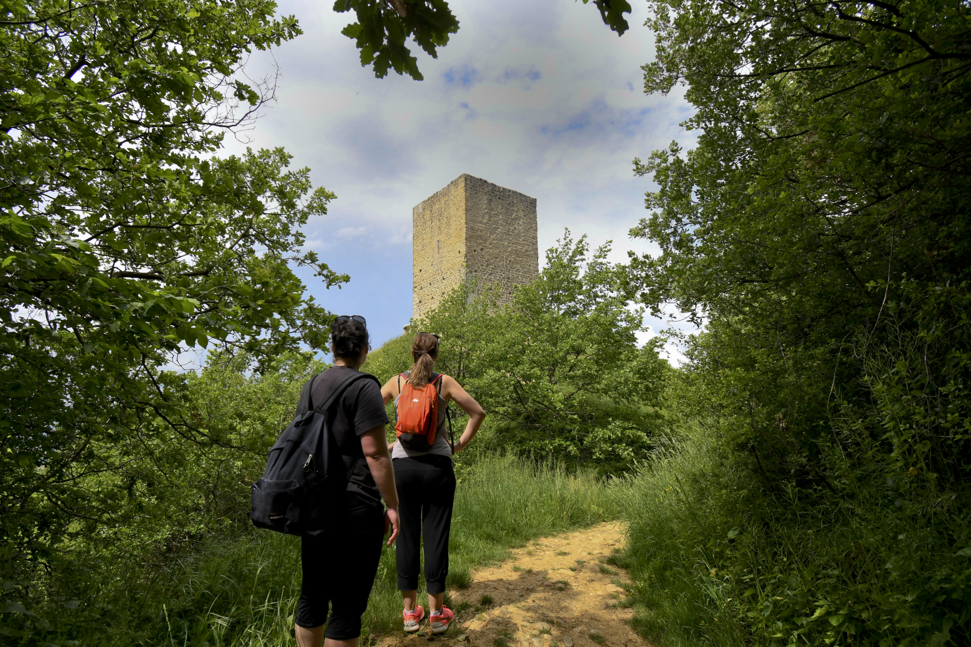 La Vigie du Dauphiné