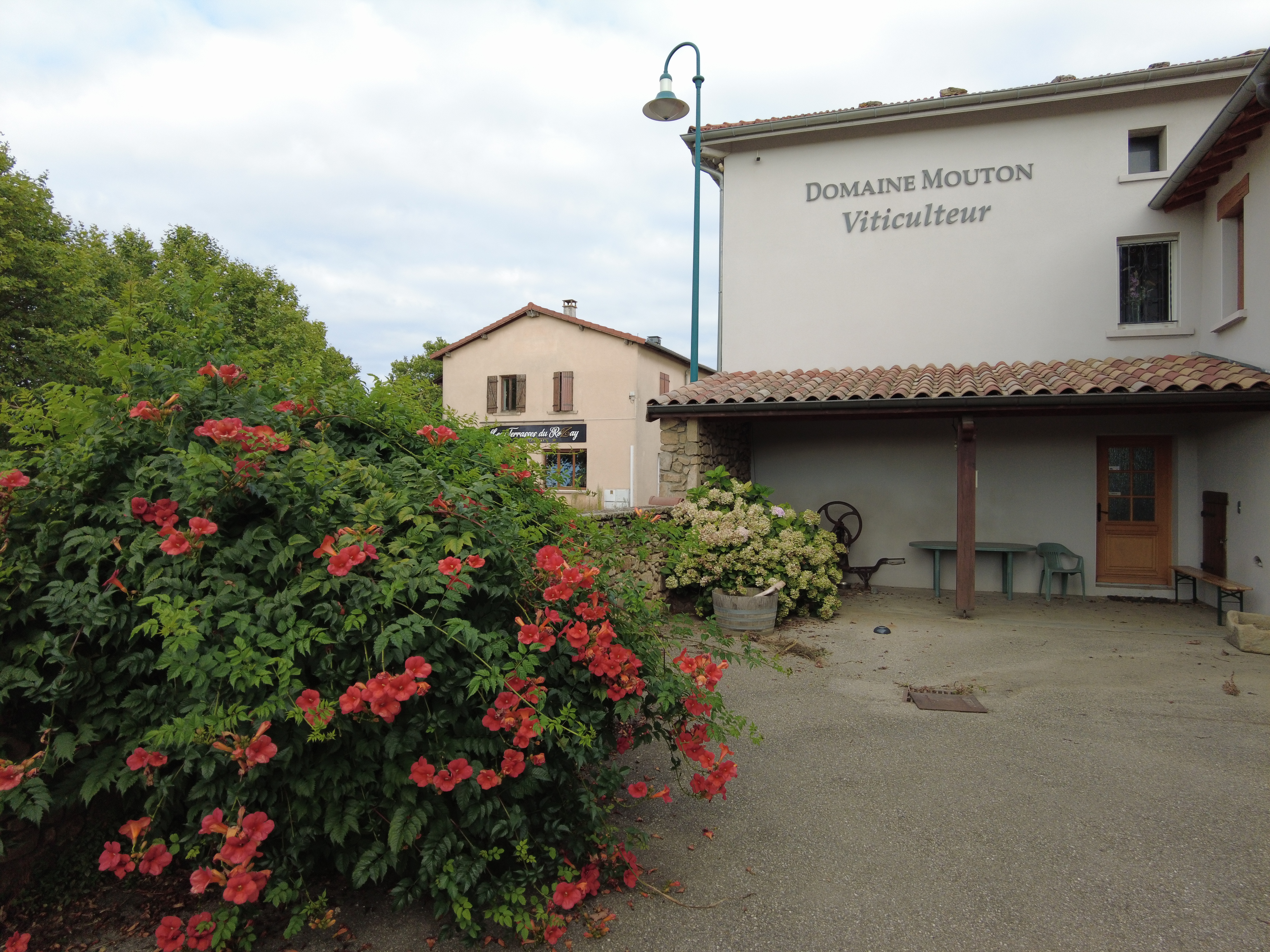 Rando Wine au Domaine Mouton Père et Fils