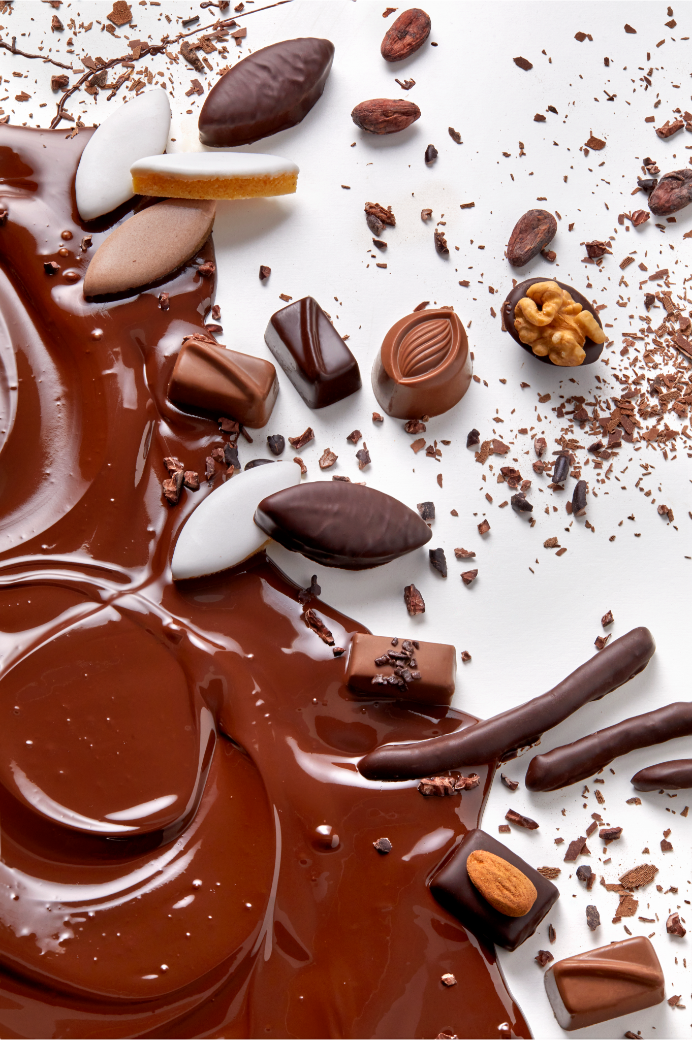 Chocolaterie de Puyricard