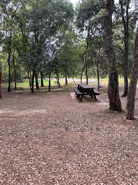 Aire de pique-nique de l'arboretum situé à Pierrefeu du Var