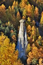 Demoiselle coiffée automne