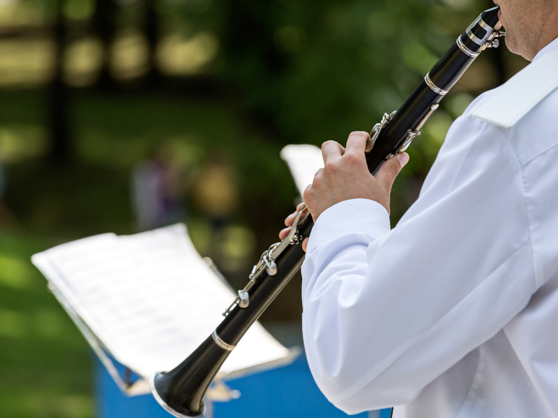 Festival des Montagnes du Matin - Promenade musicale !_Salt-en-Donzy