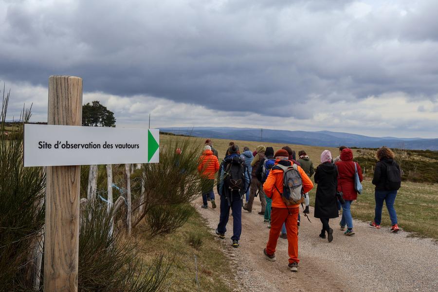 Itinéraire A la découverte des rapaces de Montselgues_Montselgues