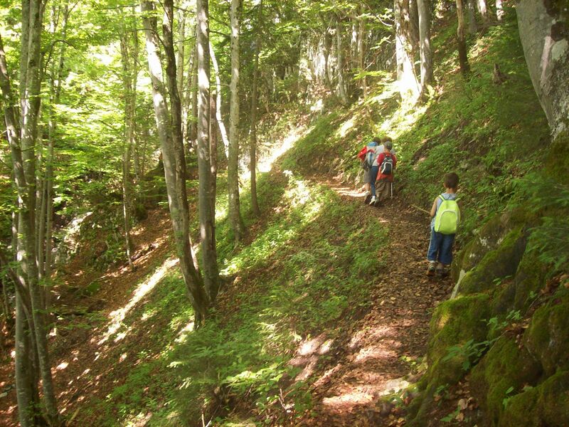 Sentier pédestre : Doran par le sentier du Gypaète