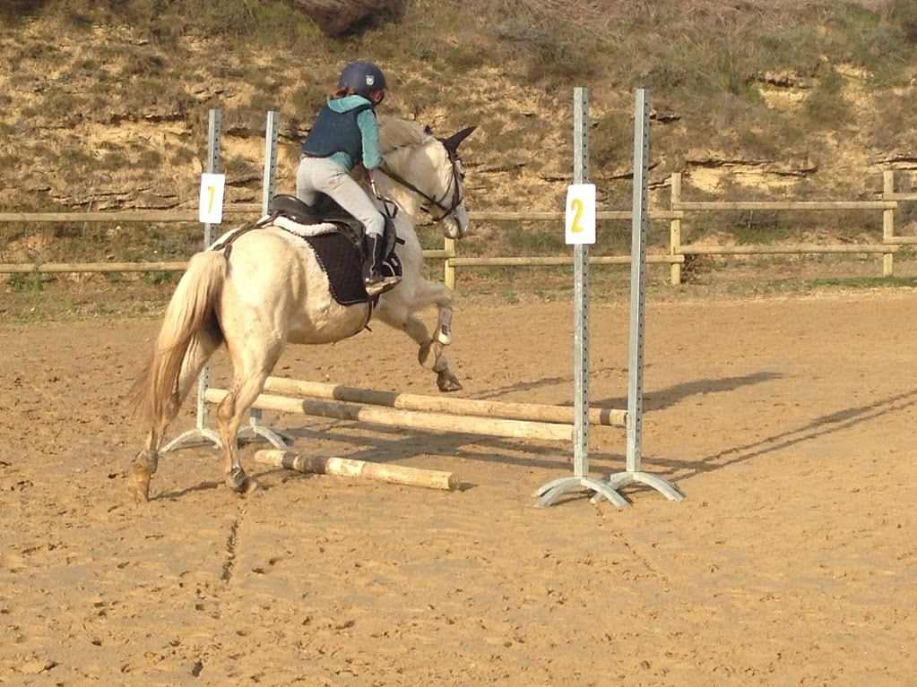 Saut d'obstale
