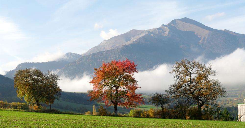 Vue sur le Jocou en automne