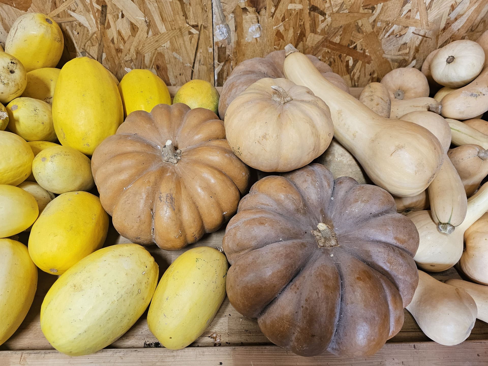 Atelier cuisine à la ferme Aïoli Caganis - photo 5