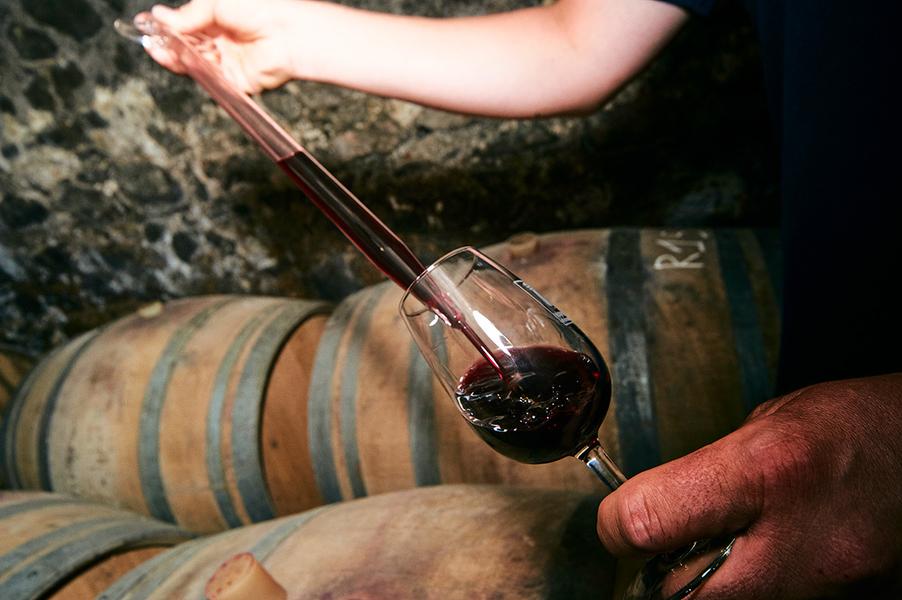 Domaine Steeve Charvet à Chiroubles