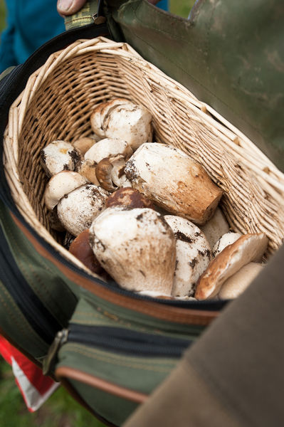 Le Lac De La Grande Léchère