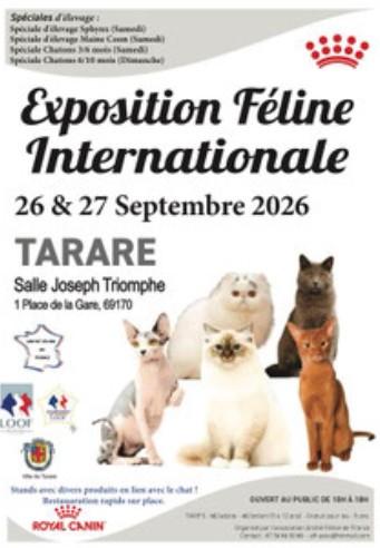 Exposition féline internationale