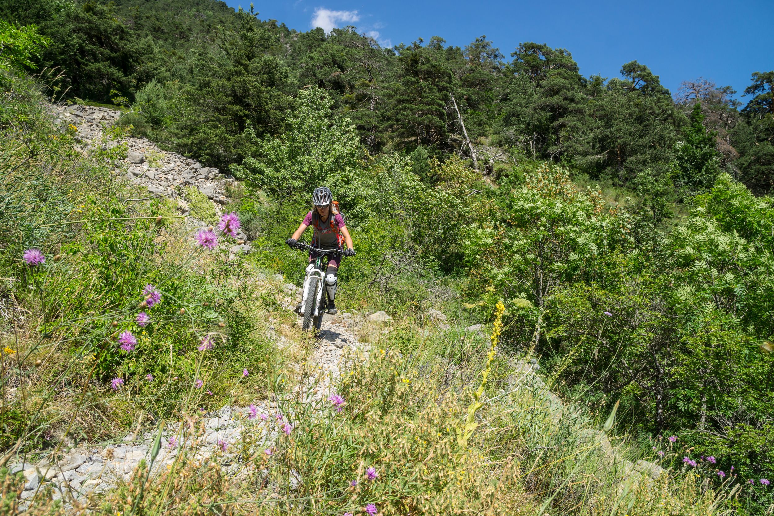 photosFeed-https://static.apidae-tourisme.com/filestore/objets-touristiques/images/56/19/30741304.jpg