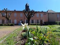 Exposition "Des cellules, des images, un curieux vivant !"_Charlieu