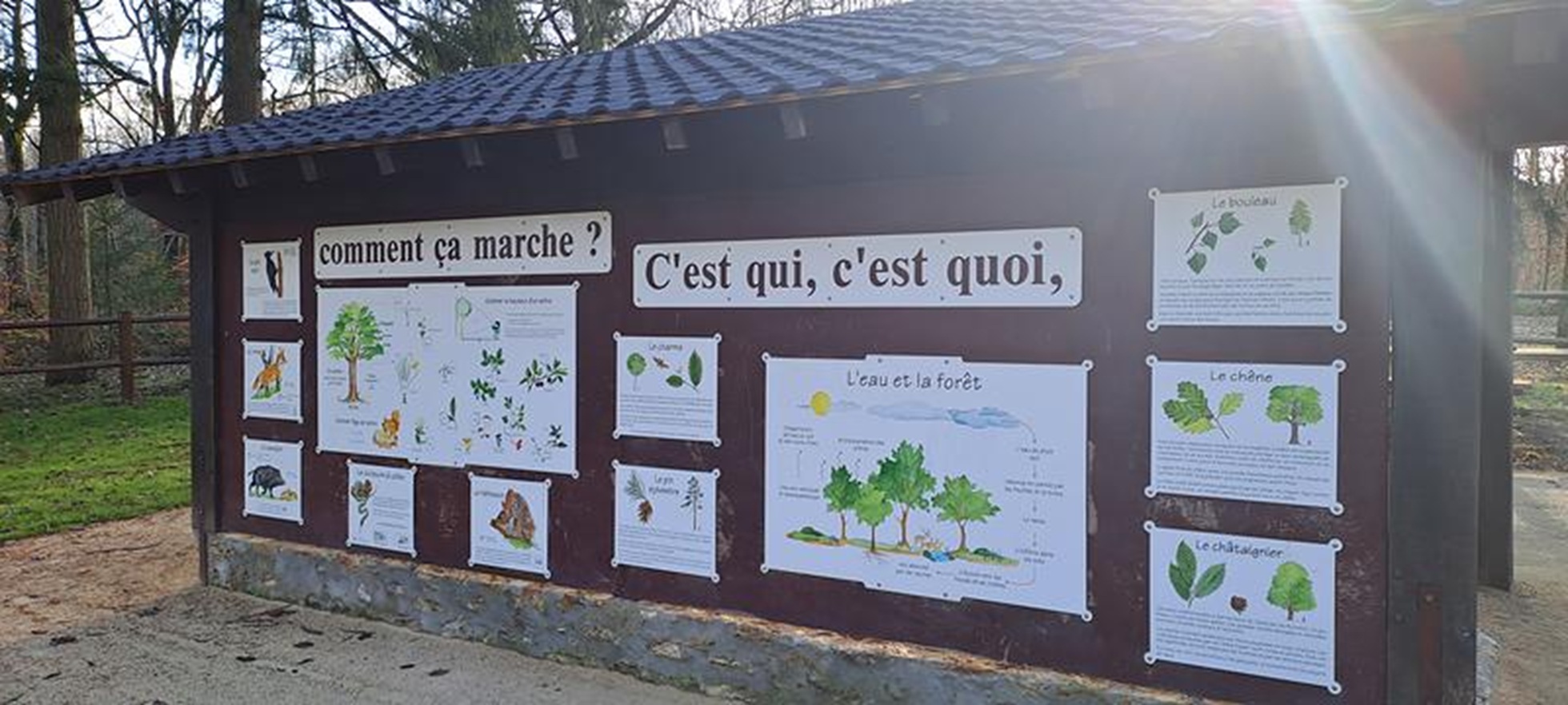Sentier du grillon_Dourdan