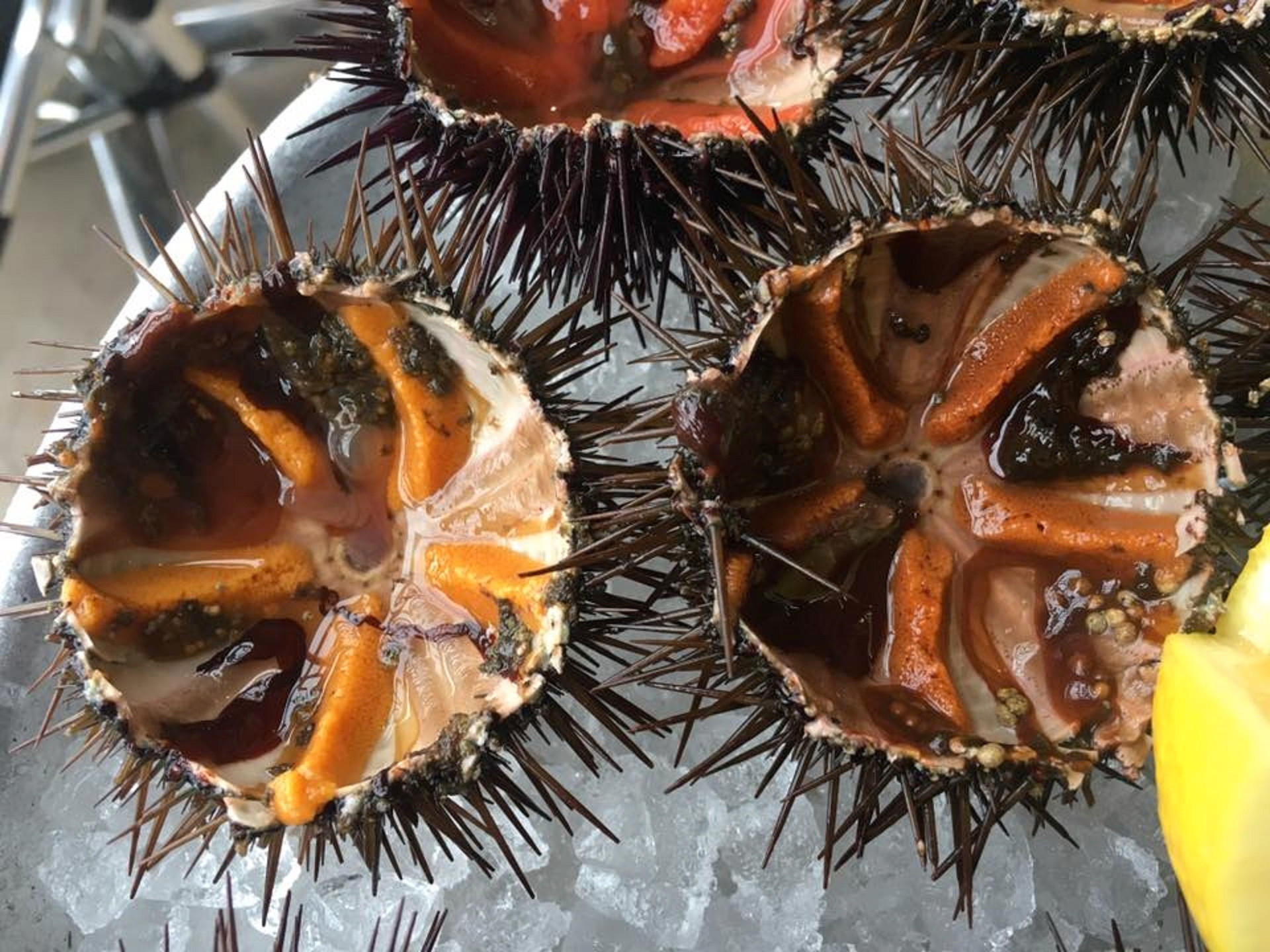 Brasserie Restaurant Le Canaille - photo 5