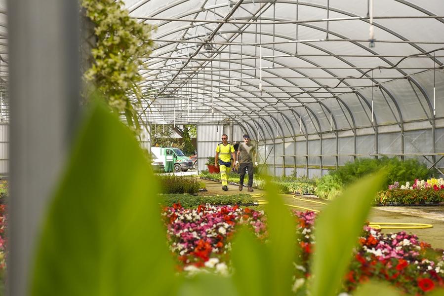 Visite et lectures à la pépinière municipale_Avignon