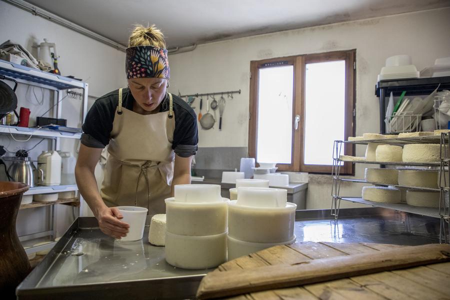 julie en train de fabriquer du fromage - © Pat DOMEYNE Découverte de la traite en alpage et visite de la ferme du Lautaret_Villar-d'Arêne - © Pat DOMEYNE