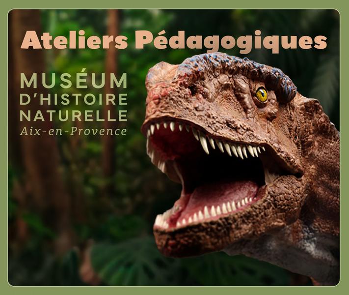 Ateliers Pédagogiques au Muséum - Vacances de Printemps_Aix-en-Provence