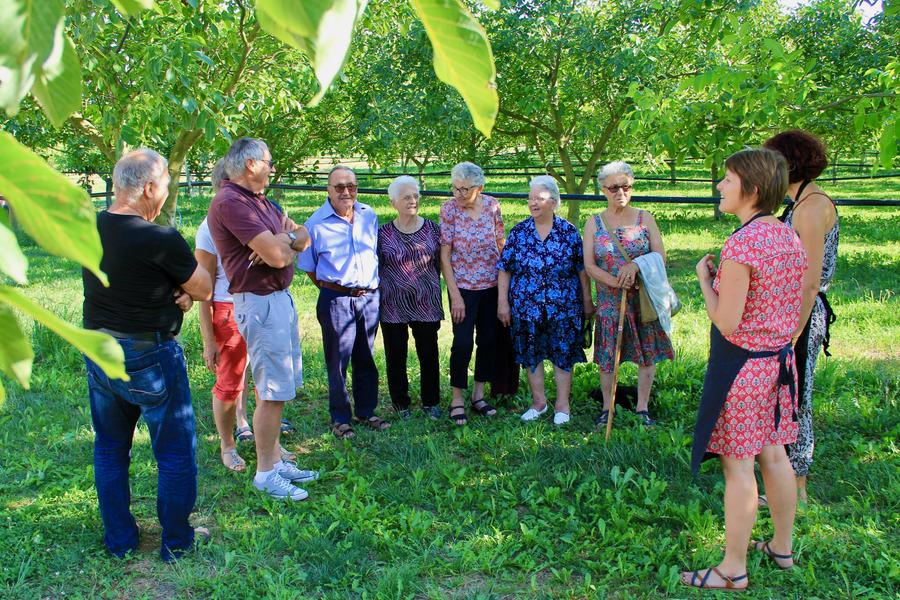 Visites de groupe La Belle Noix