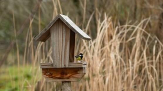 Les ateliers du jardin : fabrication d'une mangeoire à oiseaux_Allex