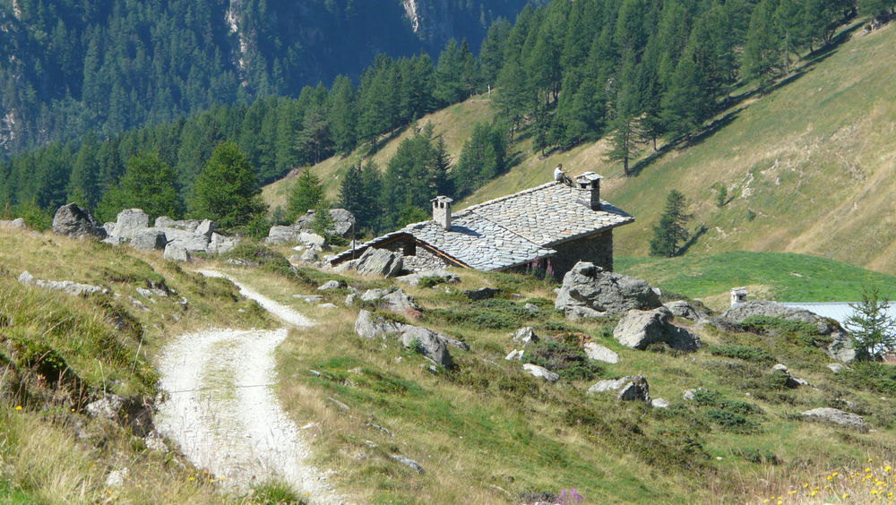 Alpage des Rossets Peisey-Vallandry