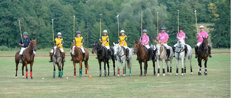 POLO