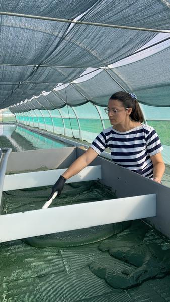 Spiruline Astrée_Trévoux