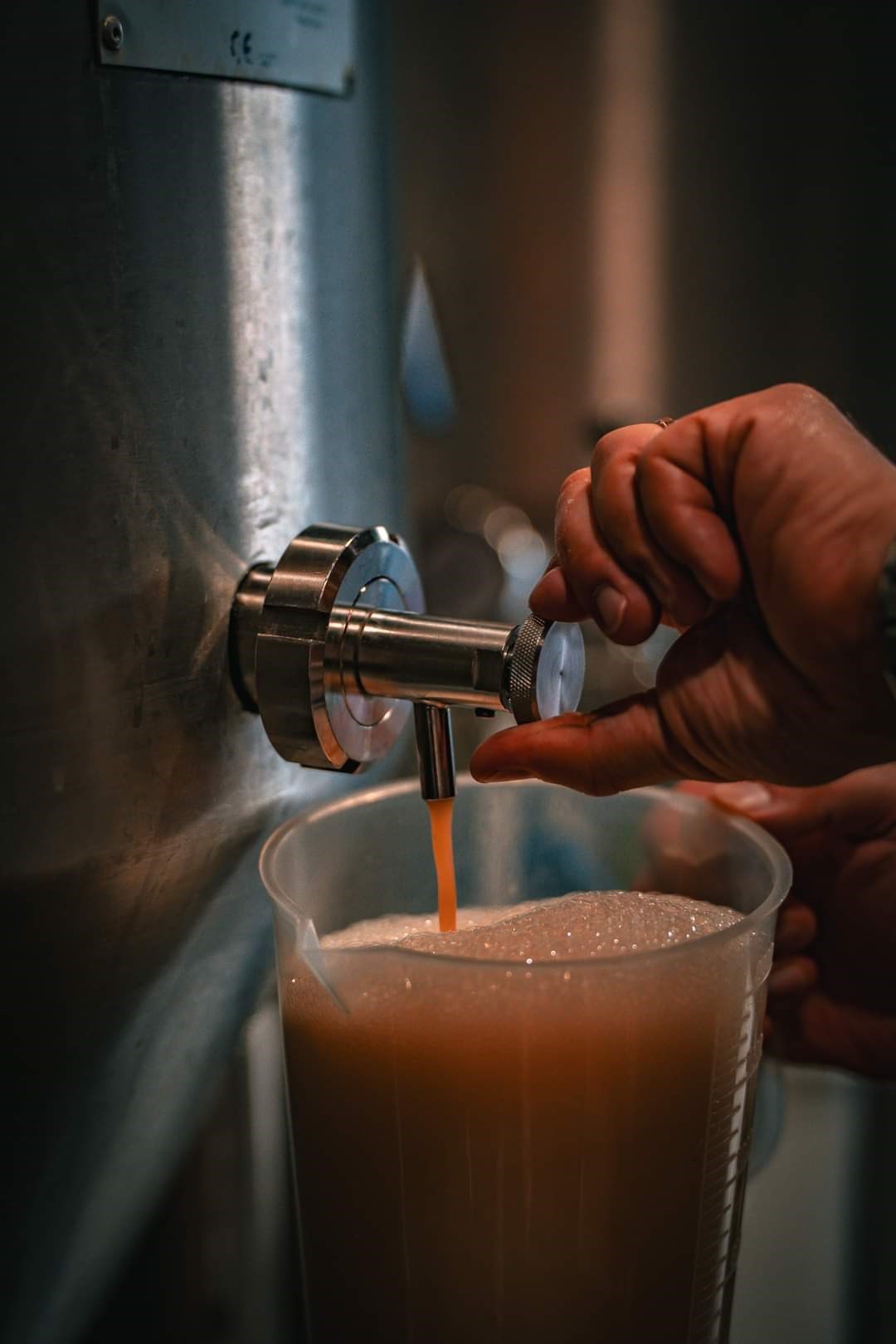 Suivi de la qualité de nos produits pendant la fermentation