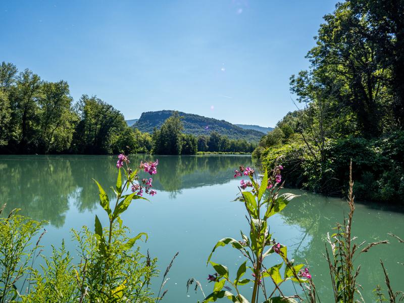 Vue sur le Rhône depuis le sentier