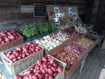 La Ferme des Grenouilles - Villeneuve-Loubet