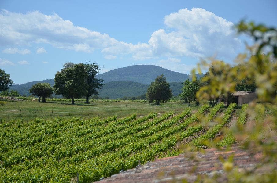 Domain Chateau des Selves Seillans