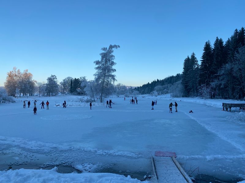 Patinage lac de Lalleyriat