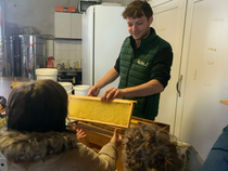 A la découverte du monde des abeilles et de leur nectar_Valeille