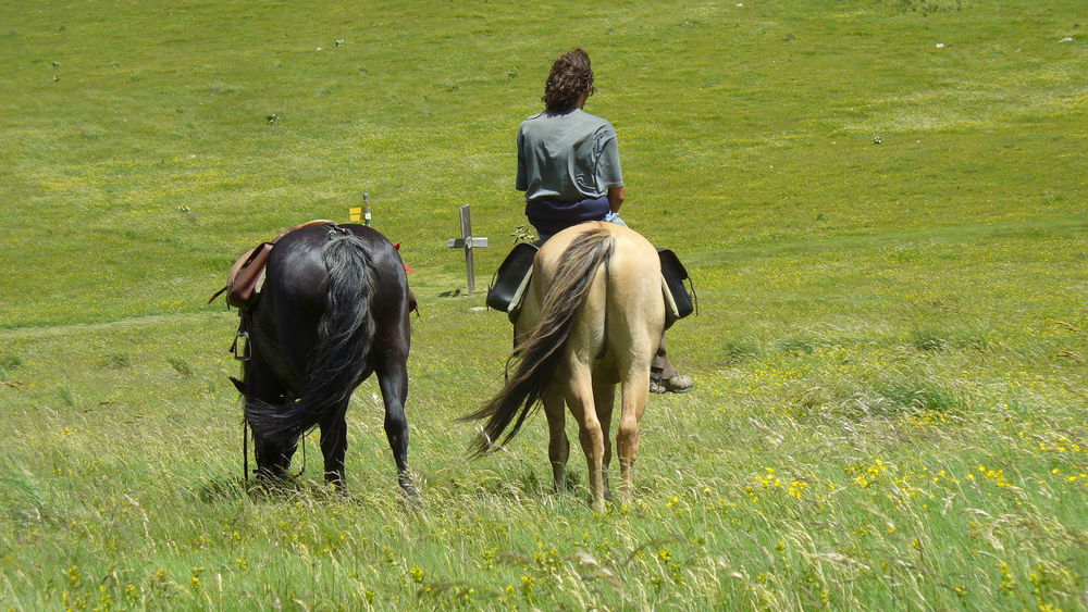 Découverte des alpages du sud-Isère à cheval