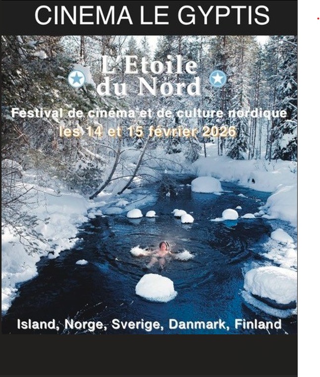 Festival de cinéma nordique