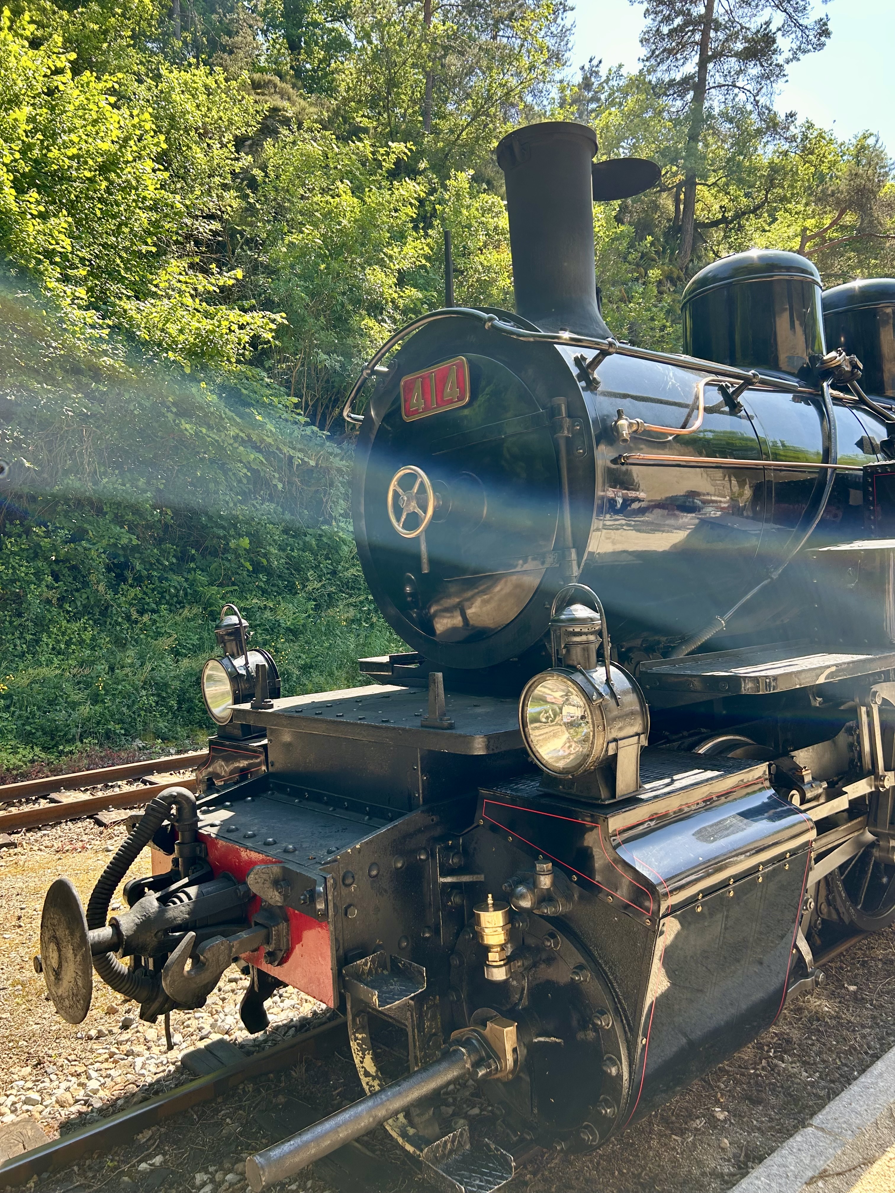 Train de la liberté_Saint-Jean-de-Muzols
