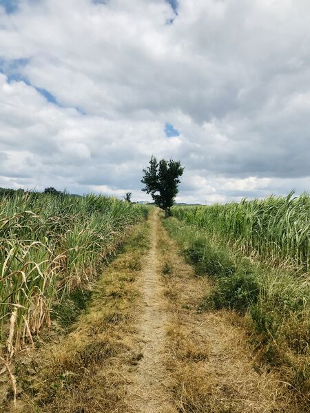 Sentier des Paysages des Monts du Lyonnais