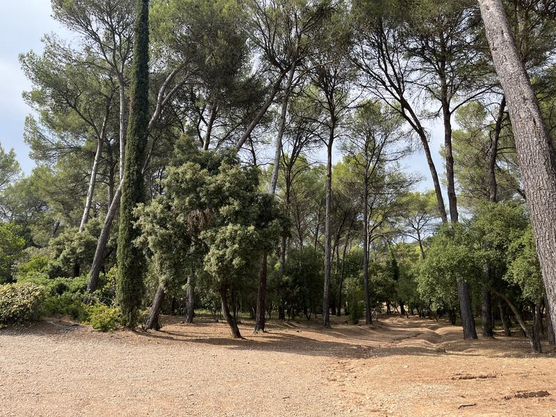 Aire André Luglia dit l'arboretum situé à Pierrefeu-du-Var