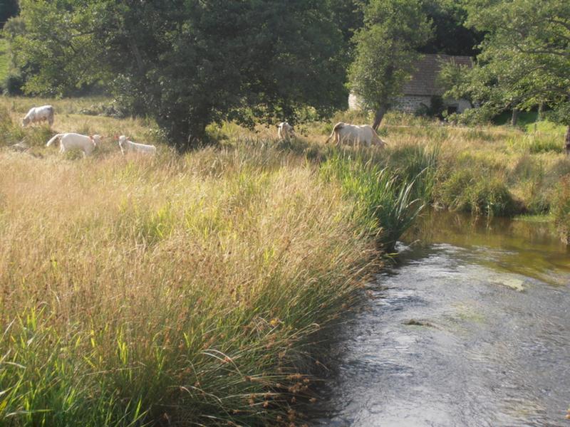 Ruisseau du Tyx