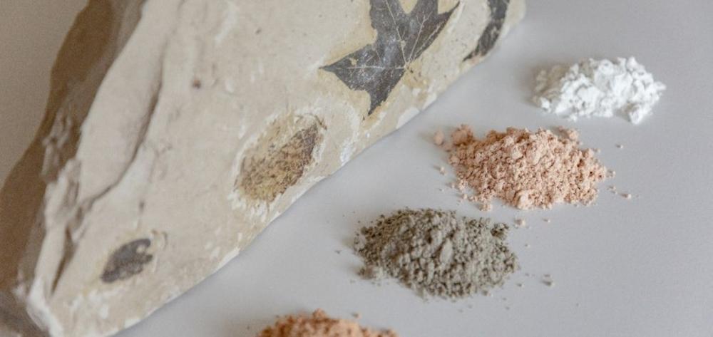 Visite d'une carrières de diatomées et de l'usine de traitement